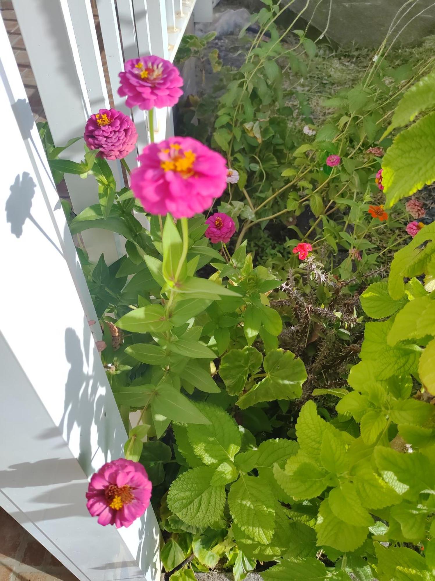 Willa Location Hibiscus Pointe-Noire Zewnętrze zdjęcie